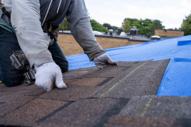 Best Gutter Installation and Roofing  in Frontenac, KS